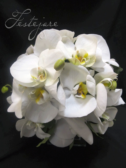 Bouquet de orquídeas brancas – por Val du Arte. | Festejare